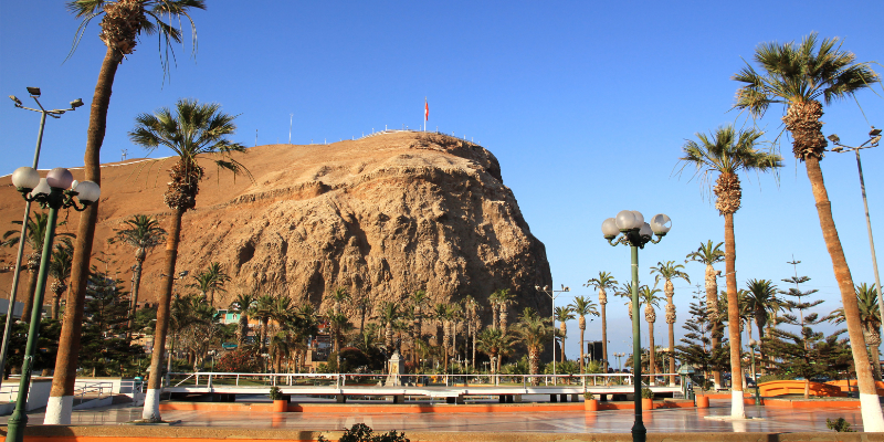 Arica